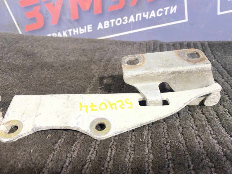 Петля (Шарнир капота), 500 рублей, Солонцы