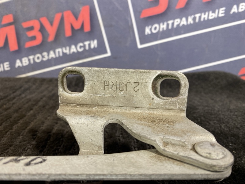 Петля (Шарнир капота), 500 рублей, Солонцы