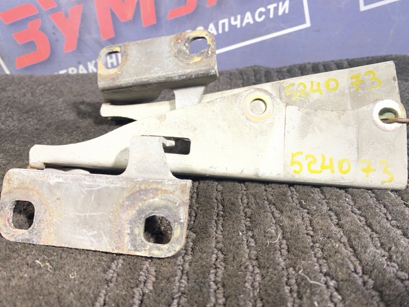 Петля (Шарнир капота), 500 рублей, Солонцы