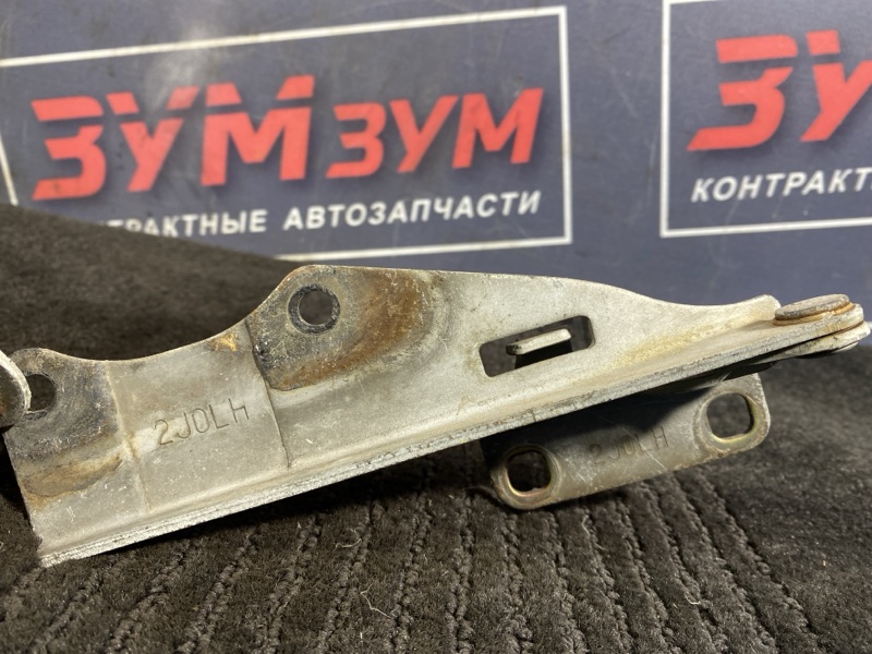 Петля (Шарнир капота), 500 рублей, Солонцы