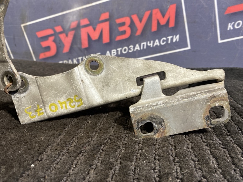 Петля (Шарнир капота), 500 рублей, Солонцы