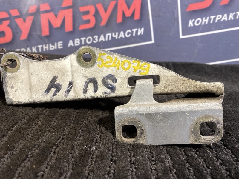 Петля (Шарнир капота), 500 рублей, Солонцы