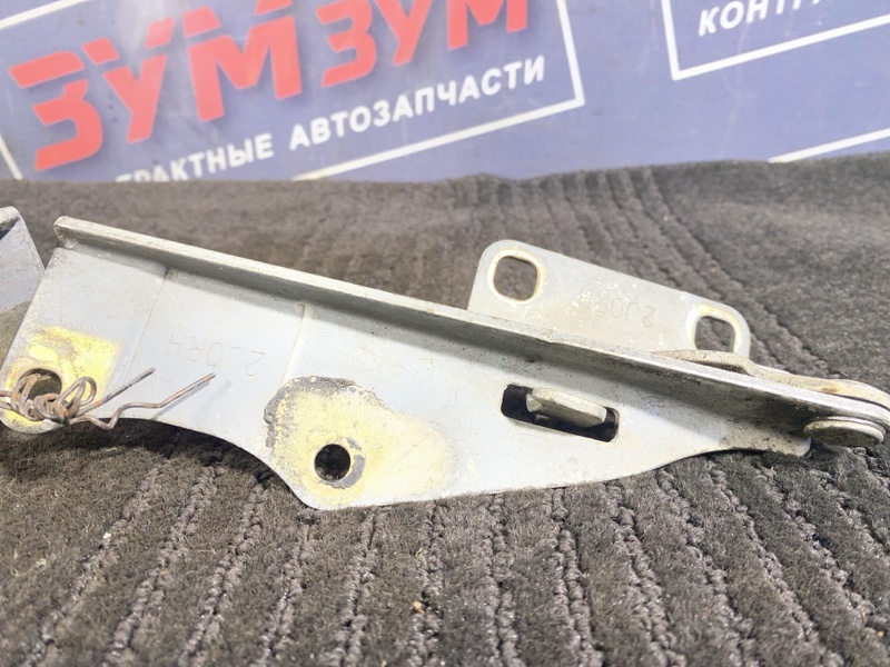 Петля (Шарнир капота), 500 рублей, Солонцы
