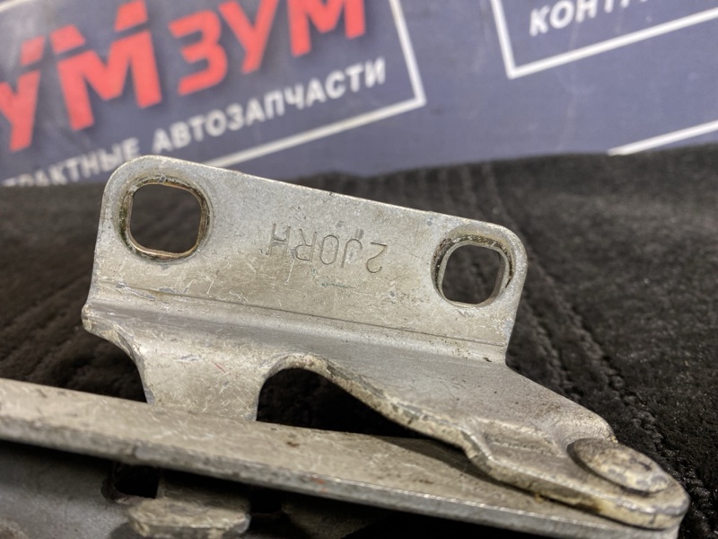 Петля (Шарнир капота), 500 рублей, Солонцы