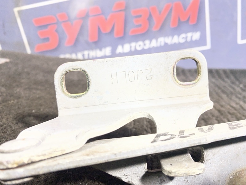 Петля (Шарнир капота), 500 рублей, Солонцы