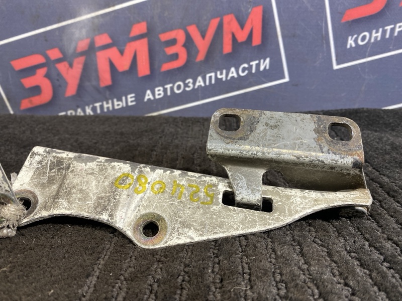 Петля (Шарнир капота), 500 рублей, Солонцы
