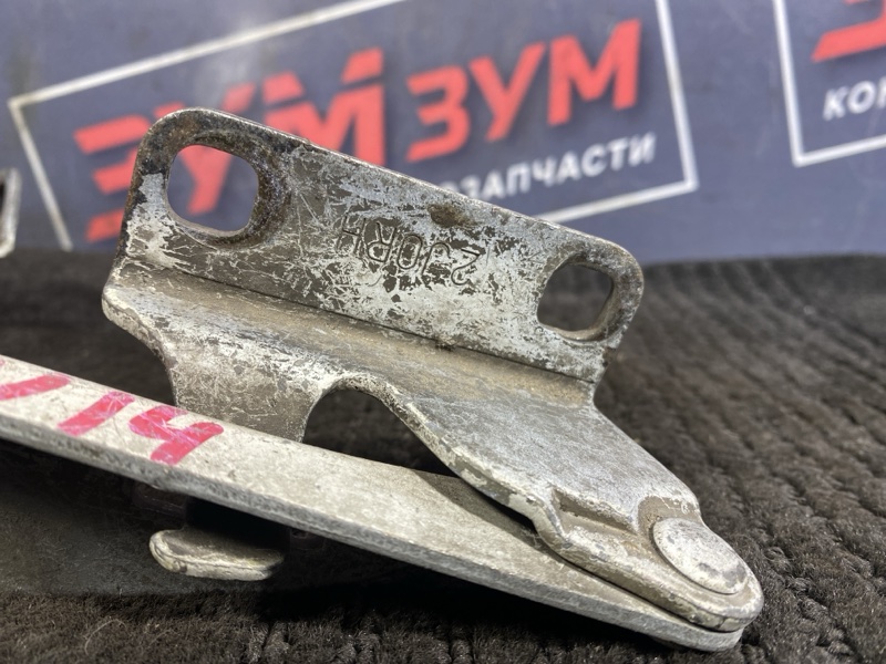 Петля (Шарнир капота), 500 рублей, Солонцы