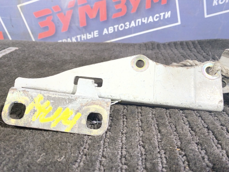 Петля (Шарнир капота), 500 рублей, Солонцы