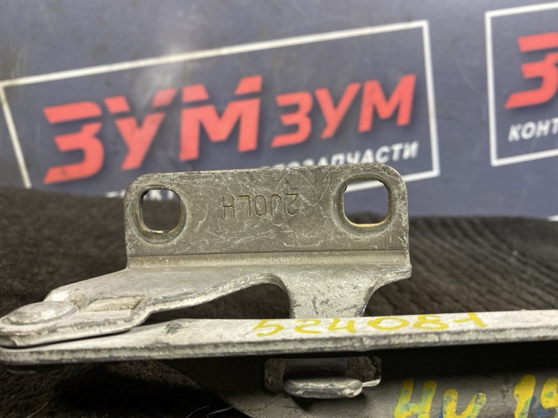 Петля (Шарнир капота), 500 рублей, Солонцы
