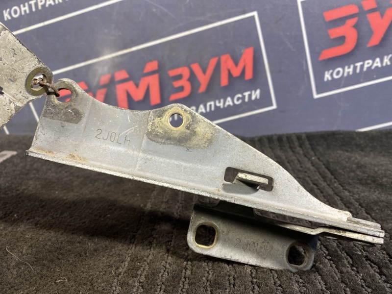 Петля (Шарнир капота), 500 рублей, Солонцы