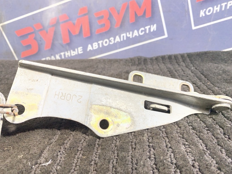 Петля (Шарнир капота), 500 рублей, Солонцы