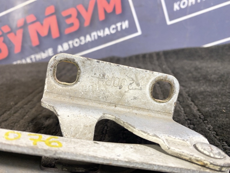 Петля (Шарнир капота), 500 рублей, Солонцы