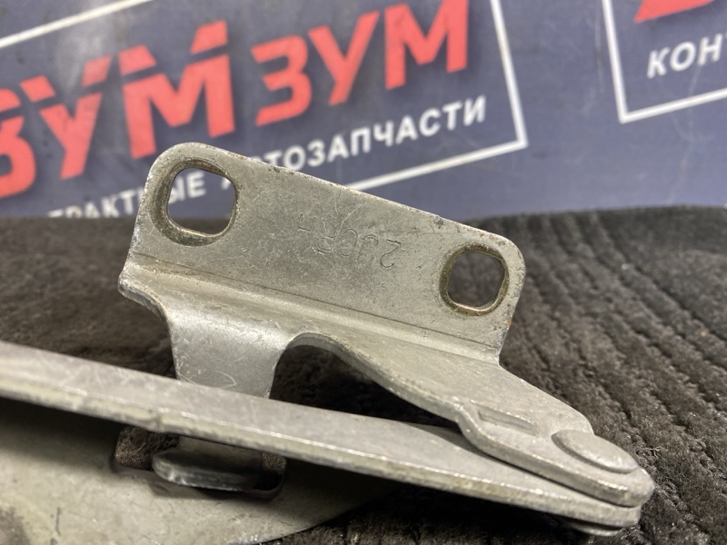 Петля (Шарнир капота), 500 рублей, Солонцы