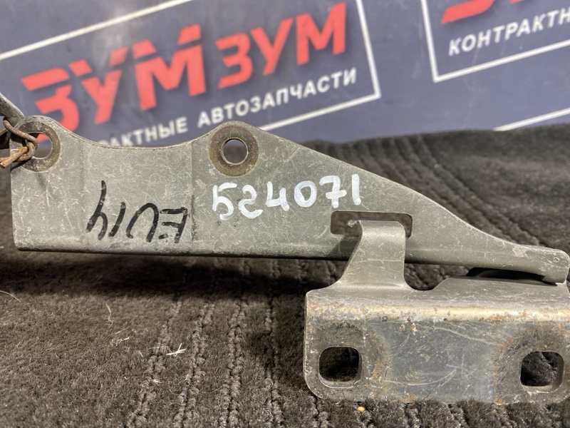 Петля (Шарнир капота), 500 рублей, Солонцы