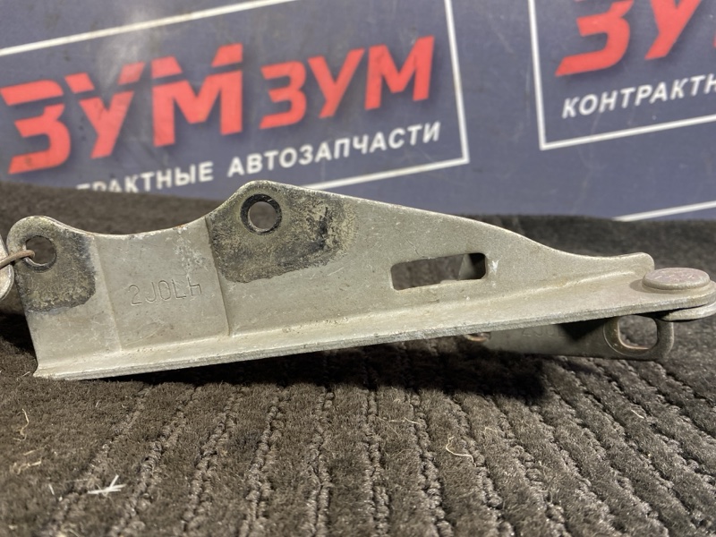 Петля (Шарнир капота), 500 рублей, Солонцы