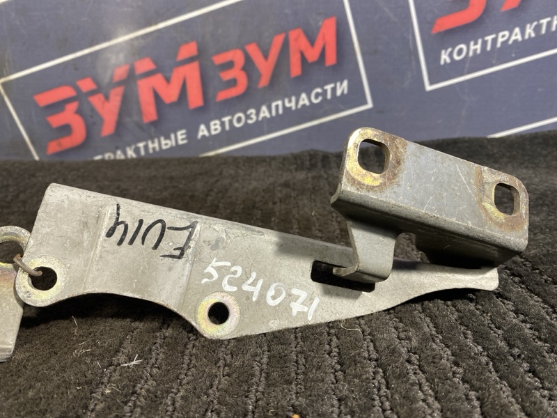 Петля (Шарнир капота), 500 рублей, Солонцы