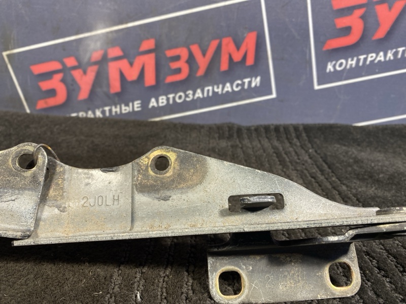 Петля (Шарнир капота), 500 рублей, Солонцы