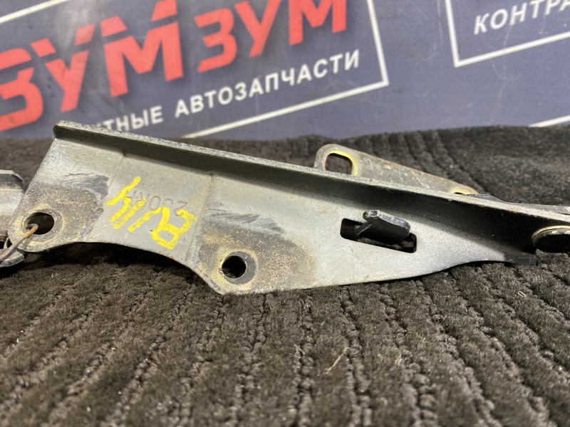 Петля (Шарнир капота), 500 рублей, Солонцы
