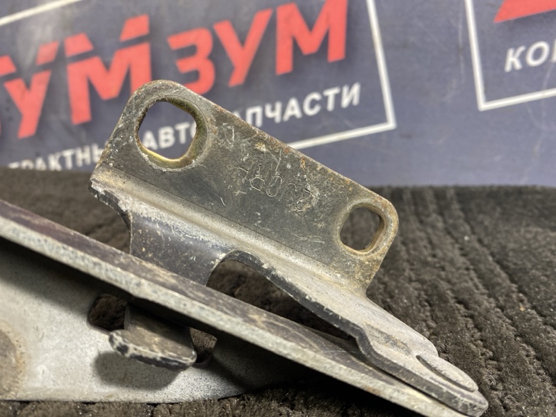 Петля (Шарнир капота), 500 рублей, Солонцы