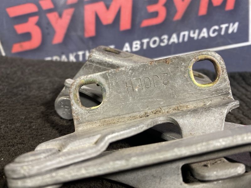 Петля (Шарнир капота), 500 рублей, Солонцы