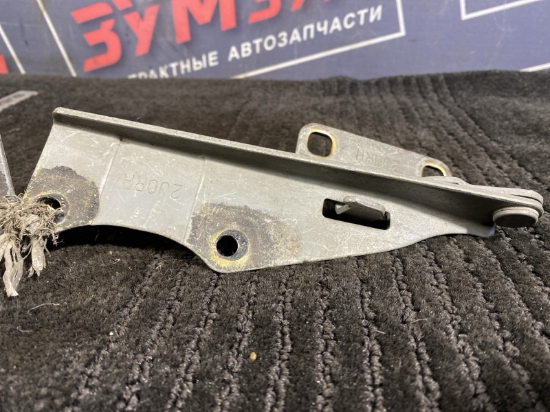 Петля (Шарнир капота), 500 рублей, Солонцы