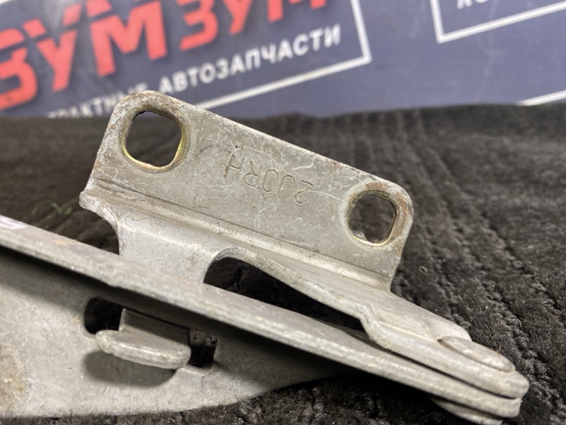 Петля (Шарнир капота), 500 рублей, Солонцы