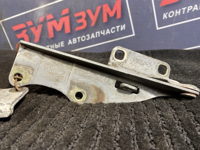 Петля (Шарнир капота), 500 рублей, Солонцы