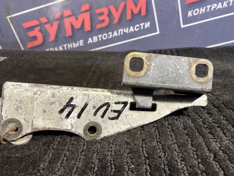 Петля (Шарнир капота), 500 рублей, Солонцы