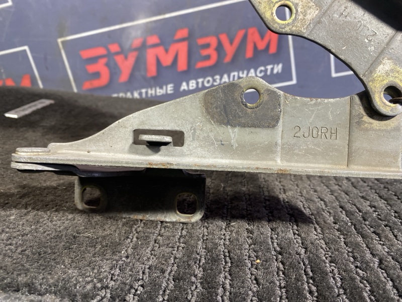 Петля (Шарнир капота), 500 рублей, Солонцы