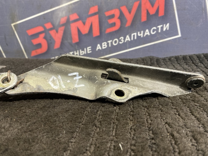 Петля (Шарнир капота), 400 рублей, Солонцы