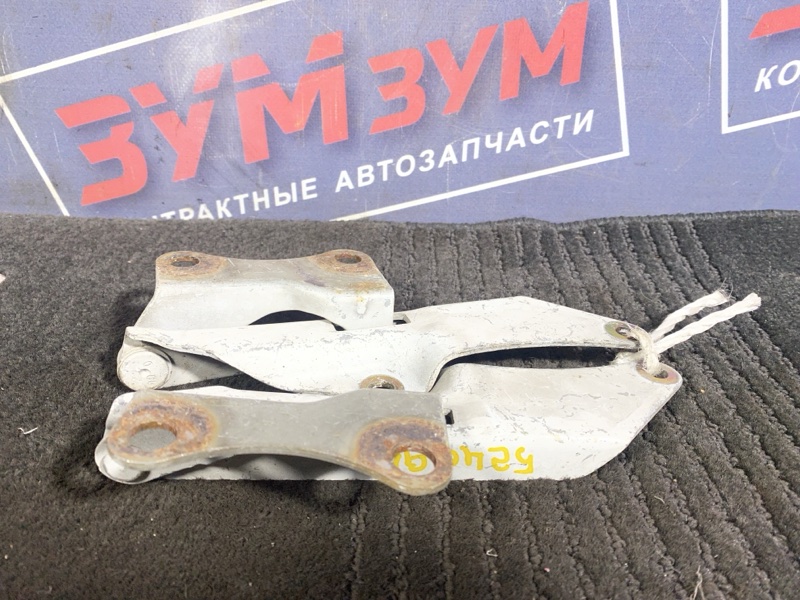 Петля (Шарнир капота), 400 рублей, Солонцы