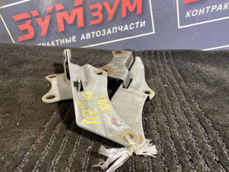 Петля (Шарнир капота), 400 рублей, Солонцы