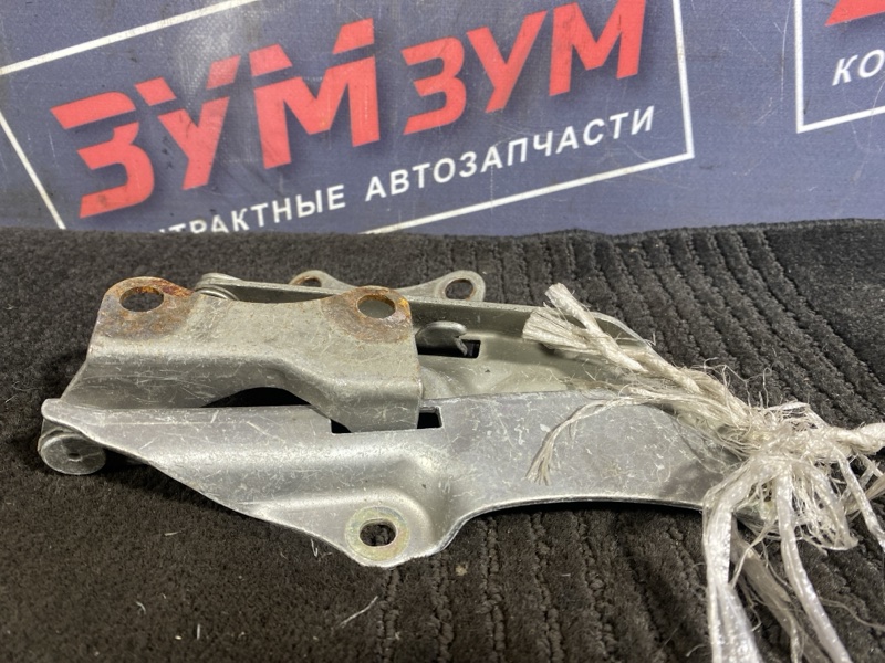 Петля (Шарнир капота), 400 рублей, Солонцы