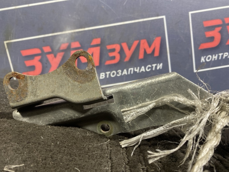 Петля (Шарнир капота), 400 рублей, Солонцы