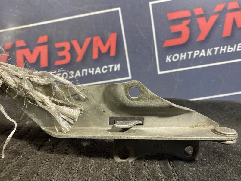 Петля (Шарнир капота), 400 рублей, Солонцы