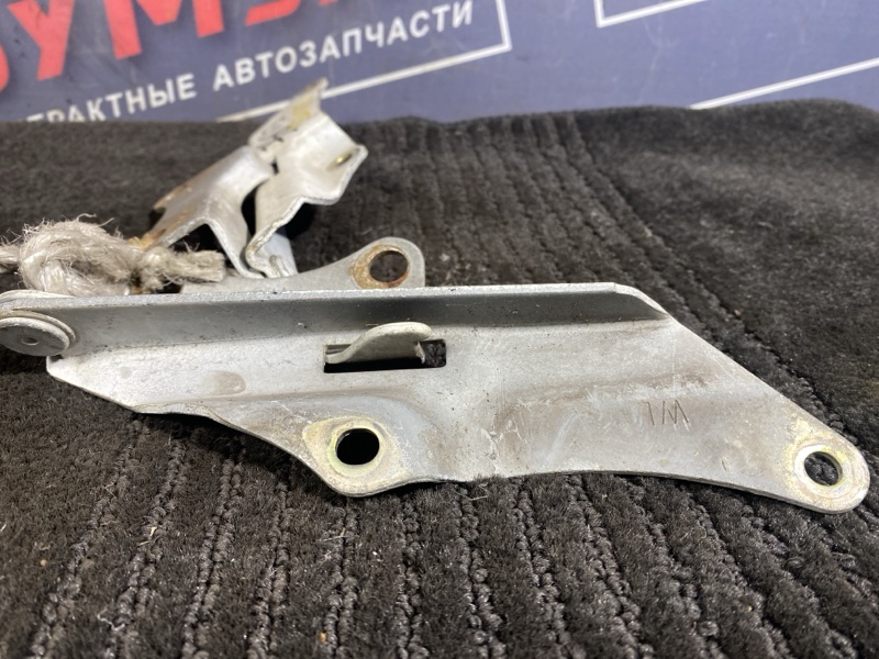 Петля (Шарнир капота), 400 рублей, Солонцы