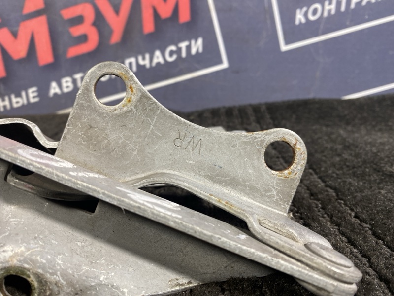 Петля (Шарнир капота), 400 рублей, Солонцы