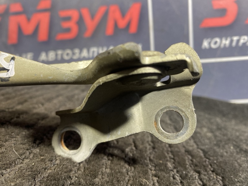 Петля (Шарнир капота), 300 рублей, Солонцы