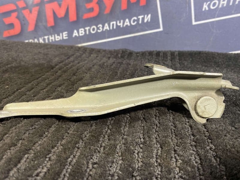 Петля (Шарнир капота), 300 рублей, Солонцы