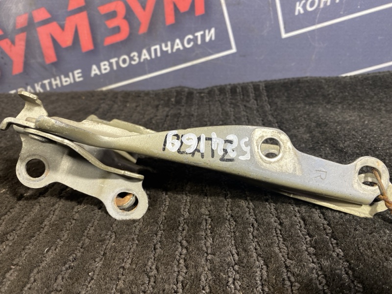 Петля (Шарнир капота), 300 рублей, Солонцы