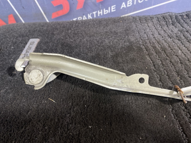 Петля (Шарнир капота), 300 рублей, Солонцы