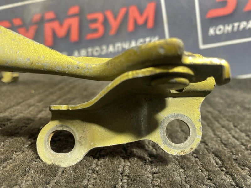 Петля (Шарнир капота), 300 рублей, Солонцы