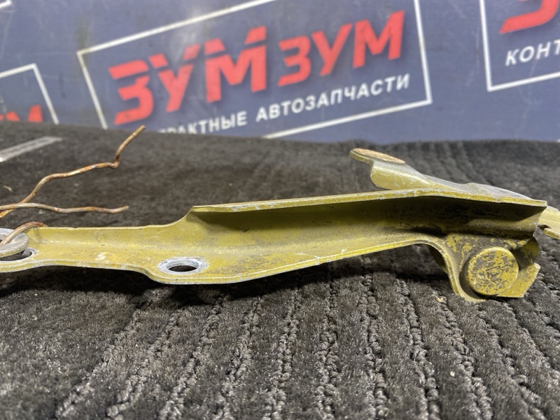 Петля (Шарнир капота), 300 рублей, Солонцы