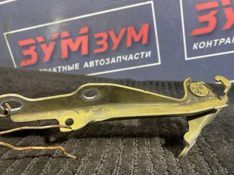 Петля (Шарнир капота), 300 рублей, Солонцы