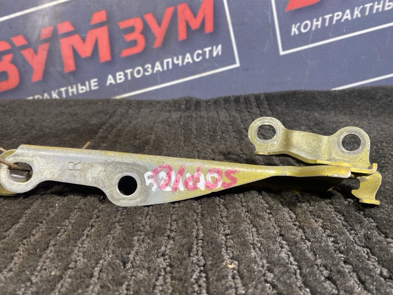 Петля (Шарнир капота), 300 рублей, Солонцы