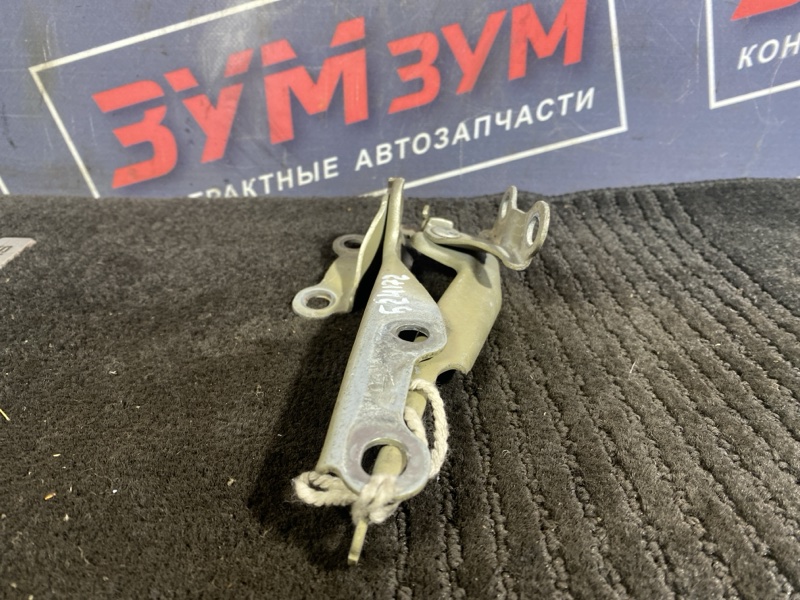 Петля (Шарнир капота), 300 рублей, Солонцы