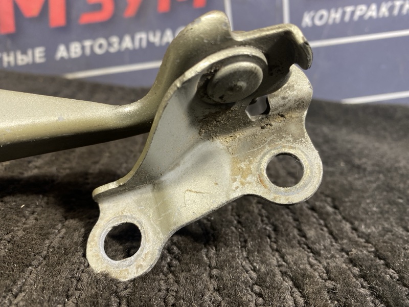 Петля (Шарнир капота), 300 рублей, Солонцы