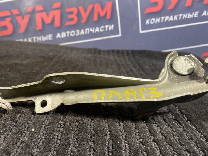 Петля (Шарнир капота), 300 рублей, Солонцы