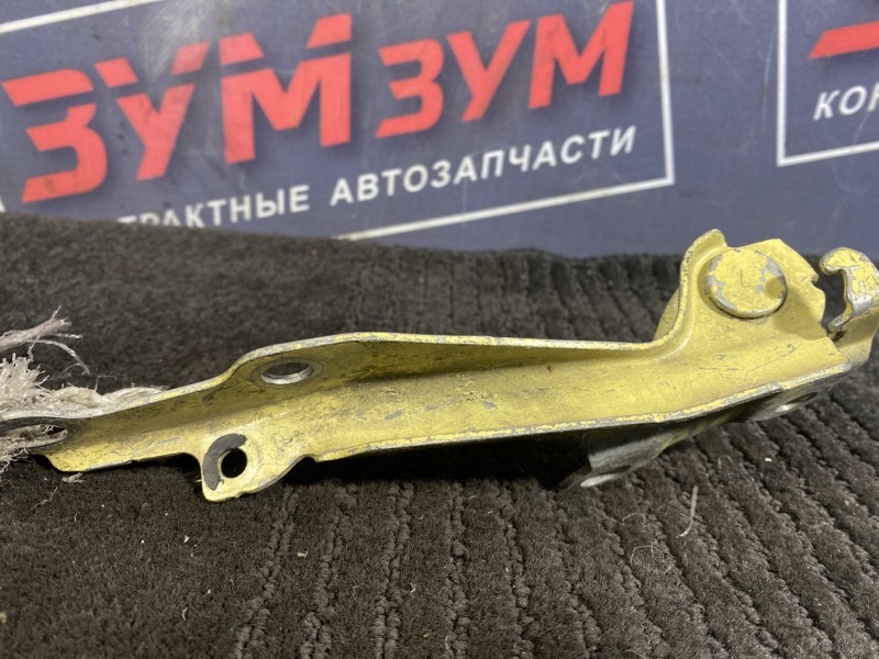 Петля (Шарнир капота), 300 рублей, Солонцы