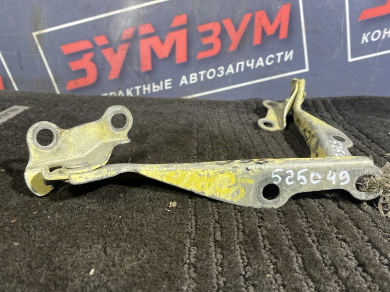 Петля (Шарнир капота), 300 рублей, Солонцы
